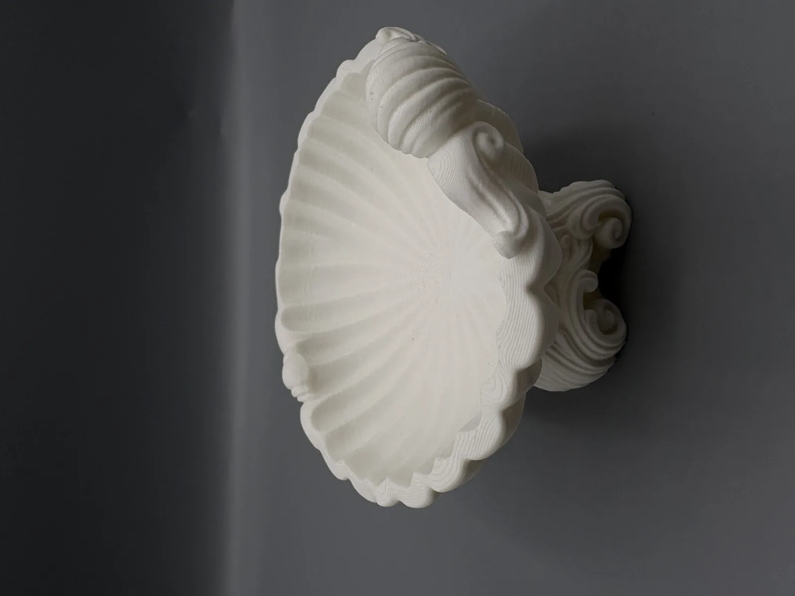 Porta-Joias Concha Marinha impresso em 3D, foto 4