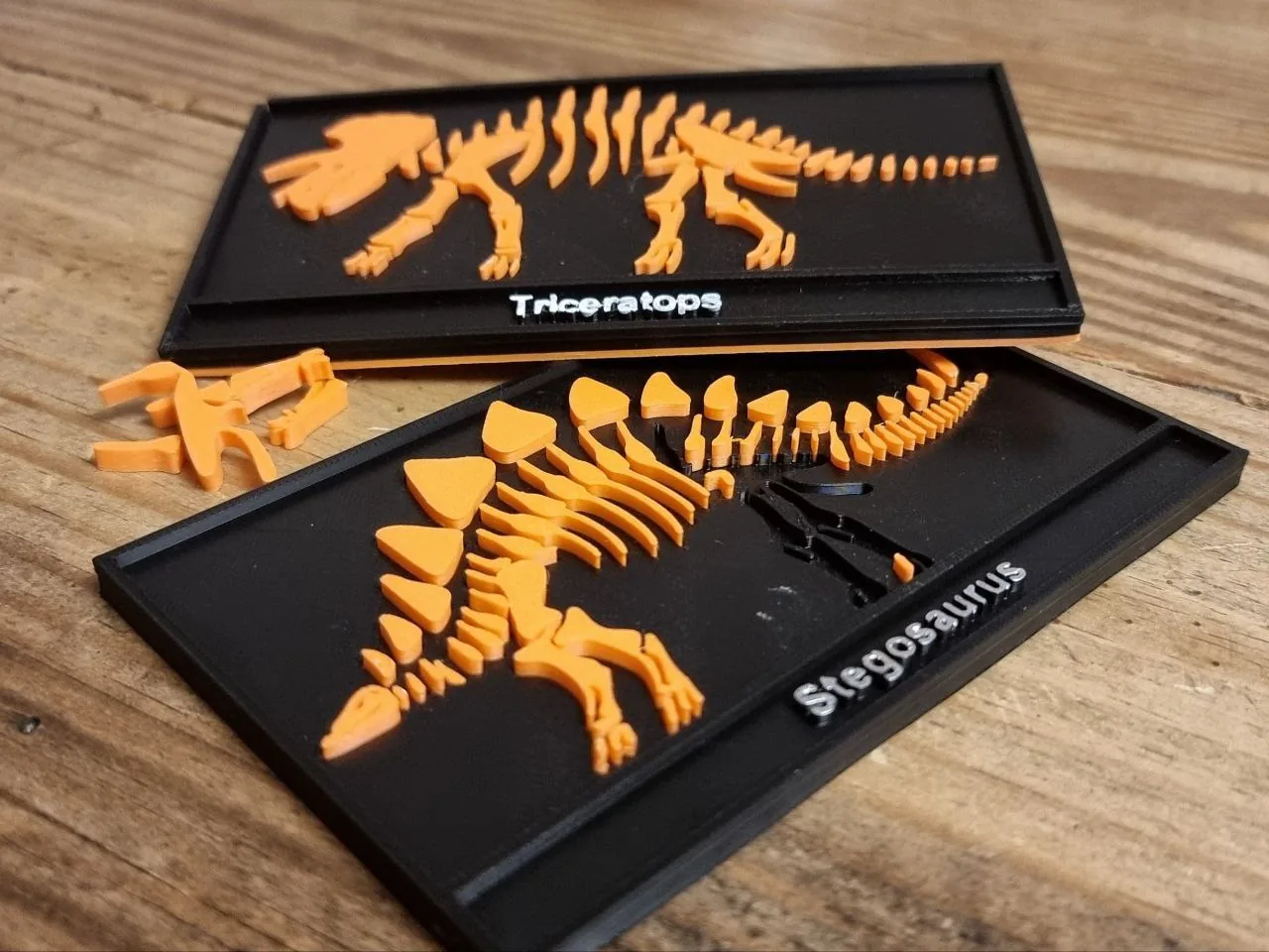 Rompecabezas de dinosaurios fósiles