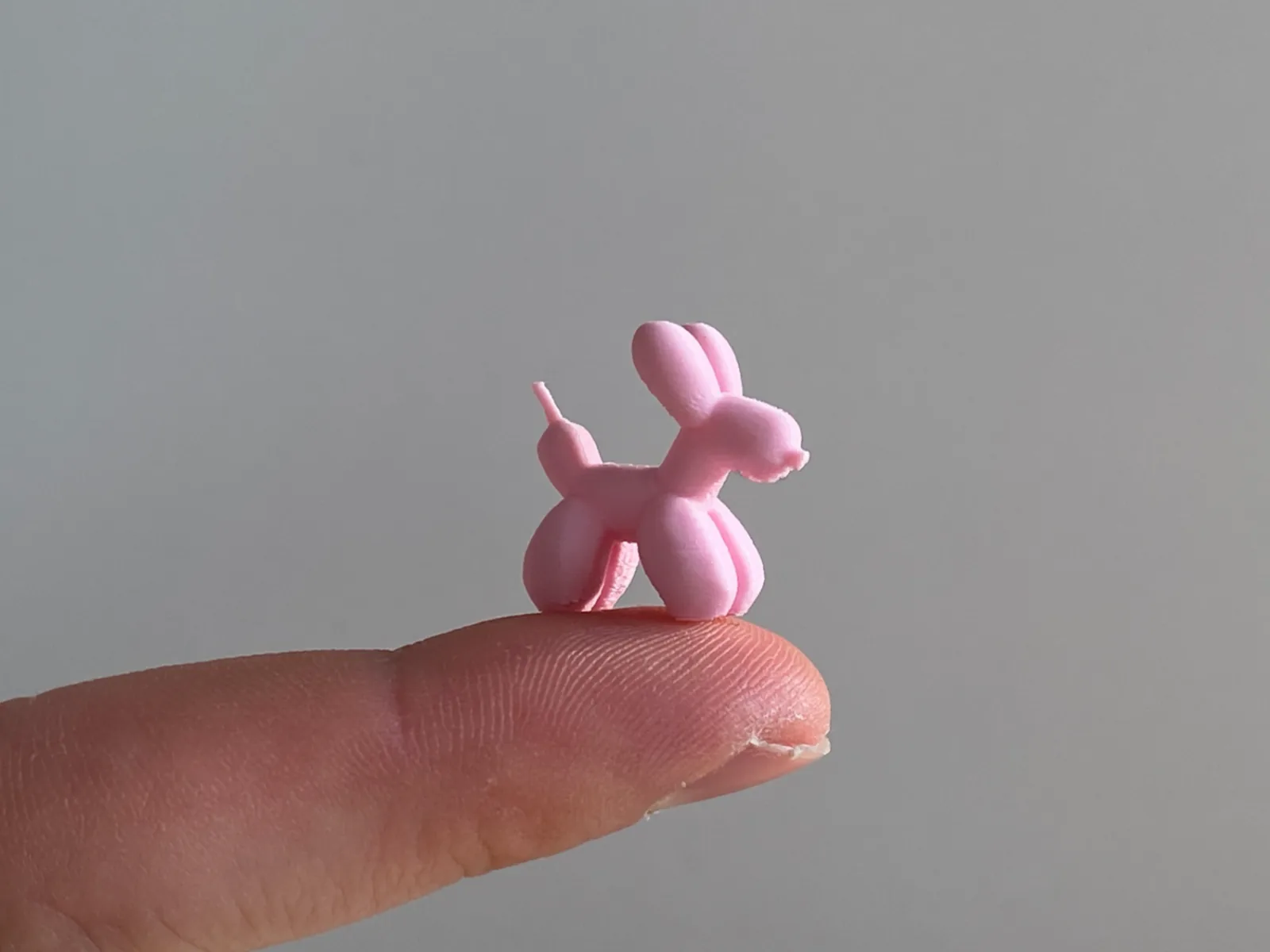 Cachorrinho de Balão Mini impresso em 3D, foto 3