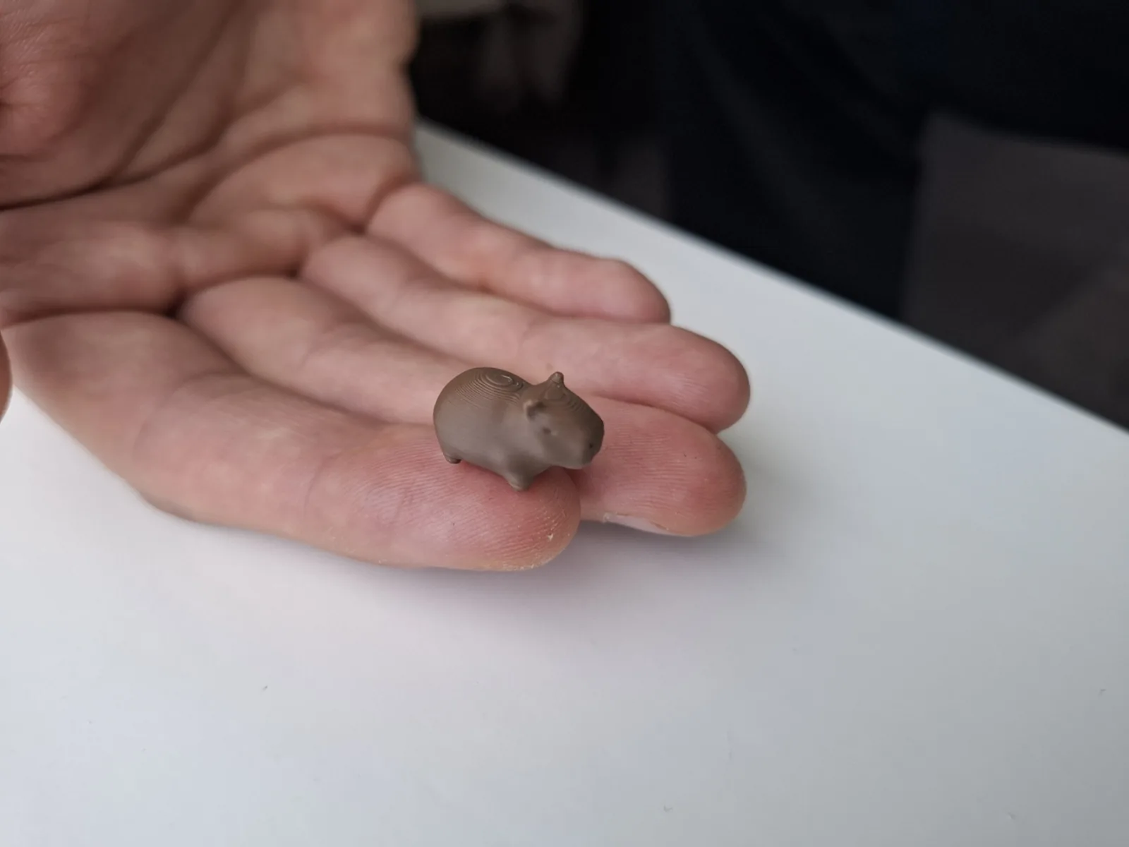 Capivara Mini de Mesa impresso em 3D, foto 3