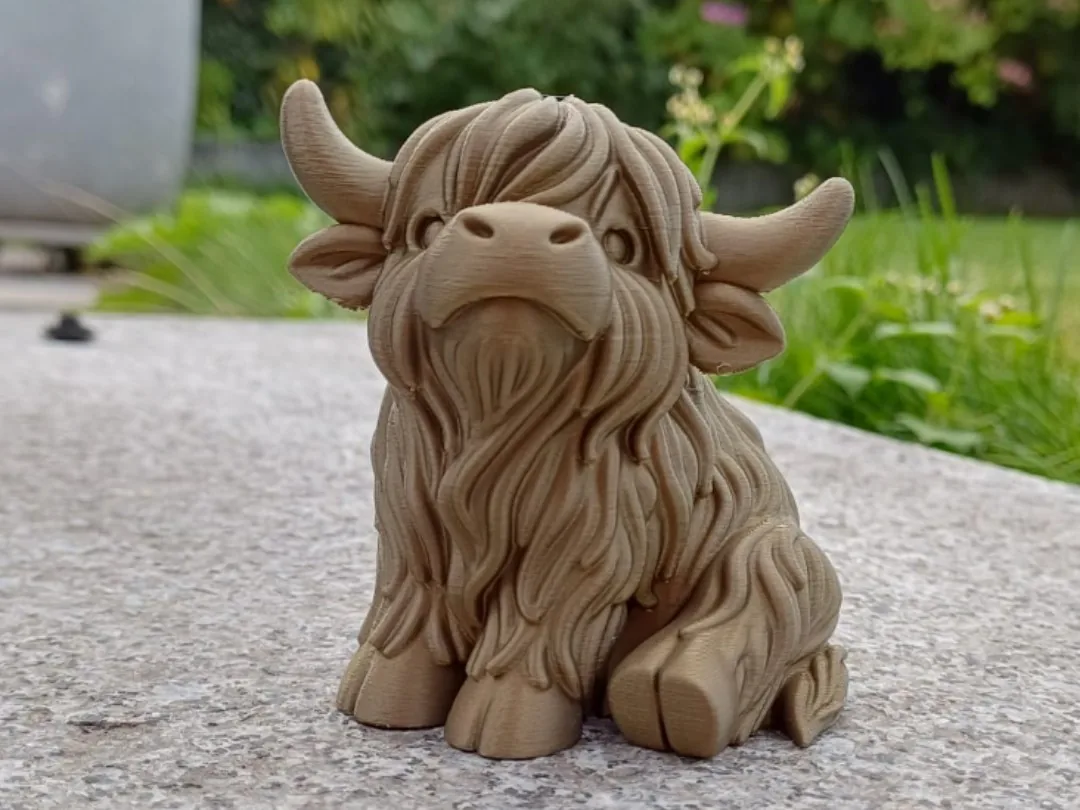 Vaca escocesa peluda