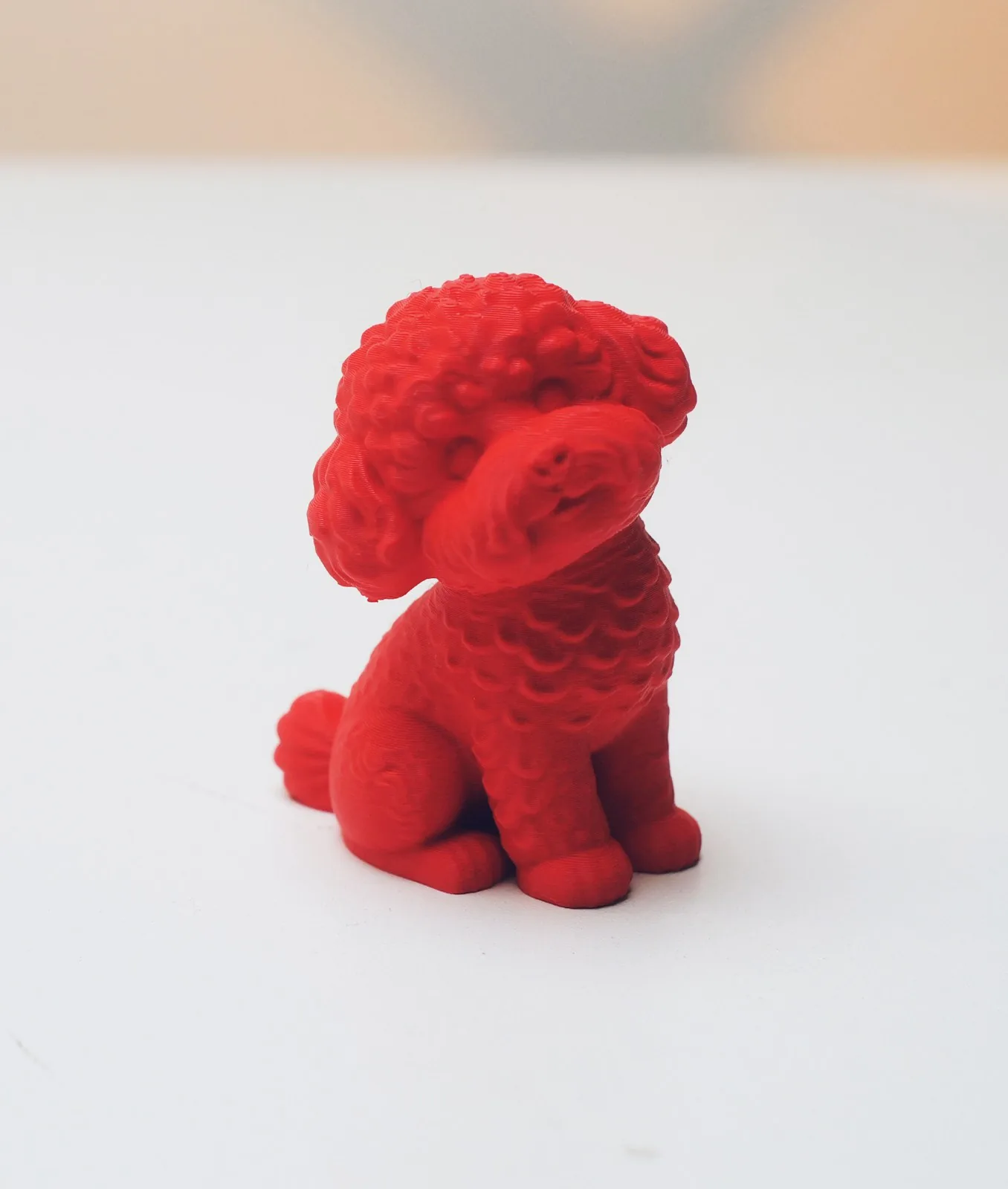 Perrito de pelo rizado impreso en 3D, foto 3