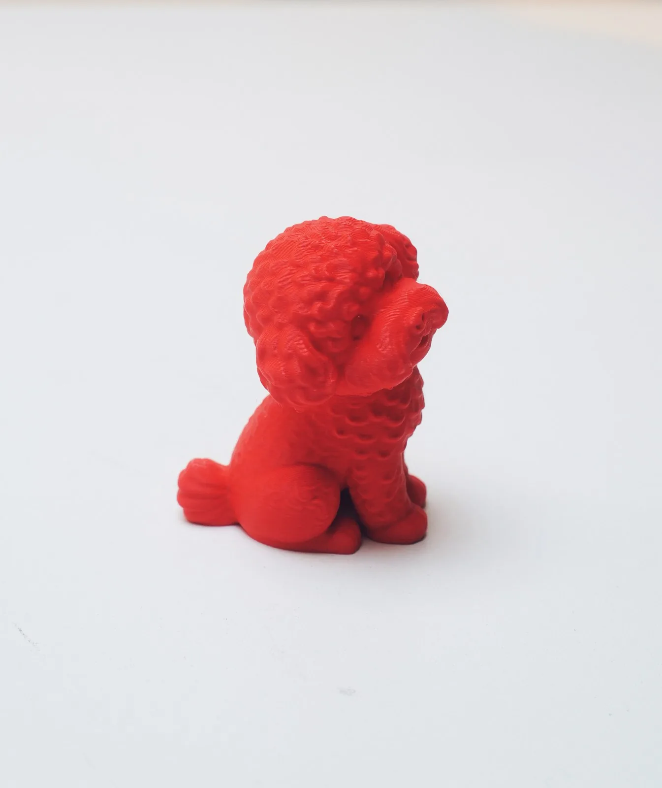 Perrito de pelo rizado impreso en 3D, foto 5