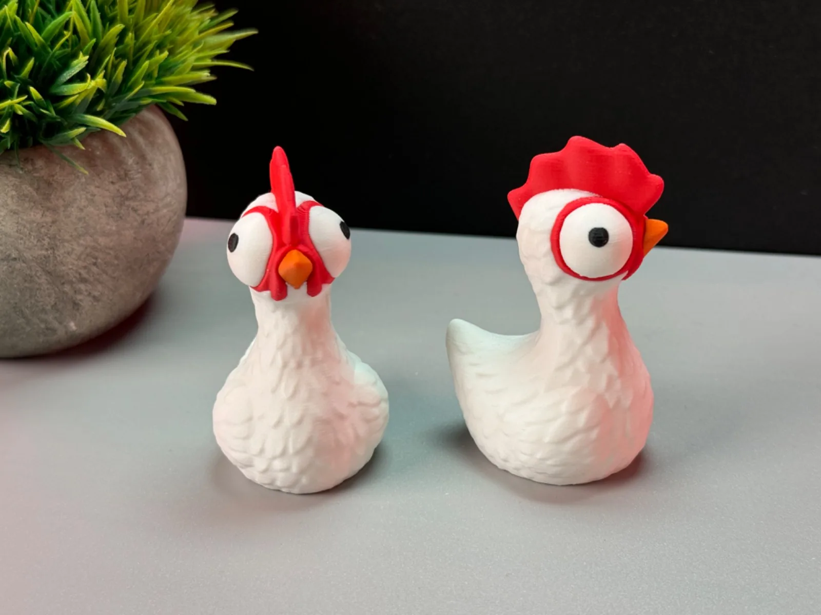Gallinitas graciosas