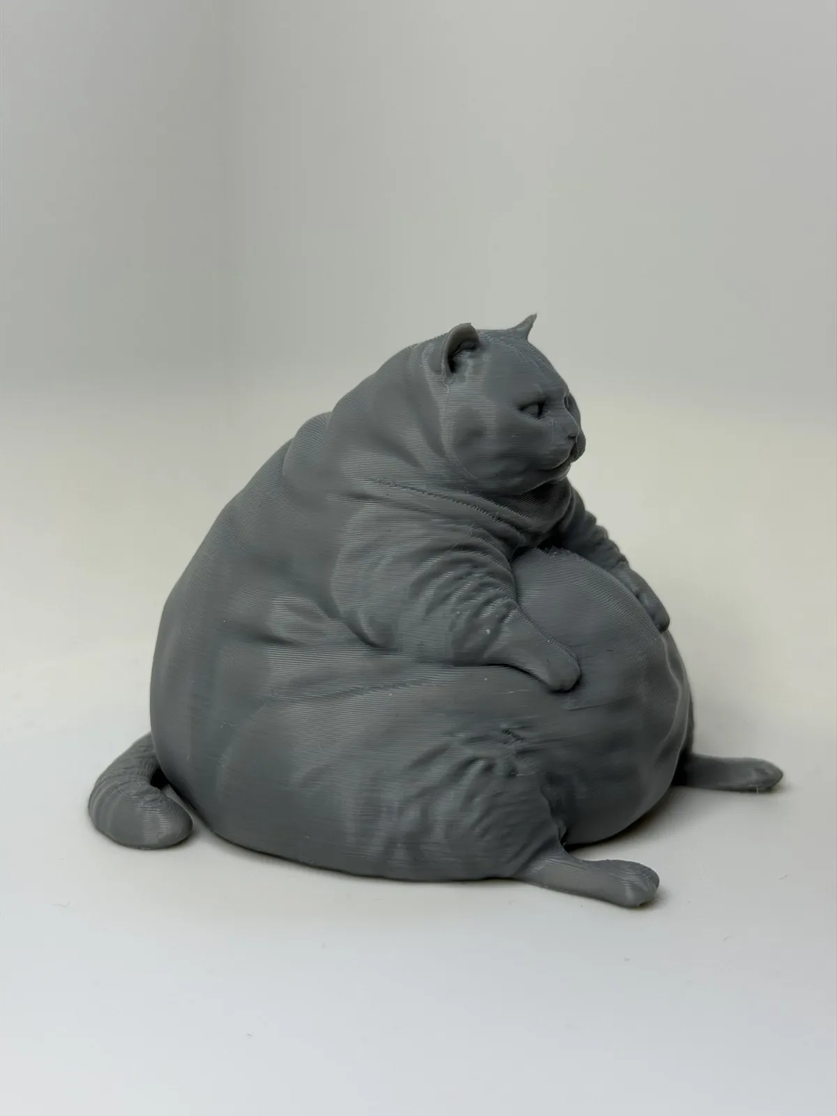 Gato gordo inútil pero necesario impreso en 3D, foto 3