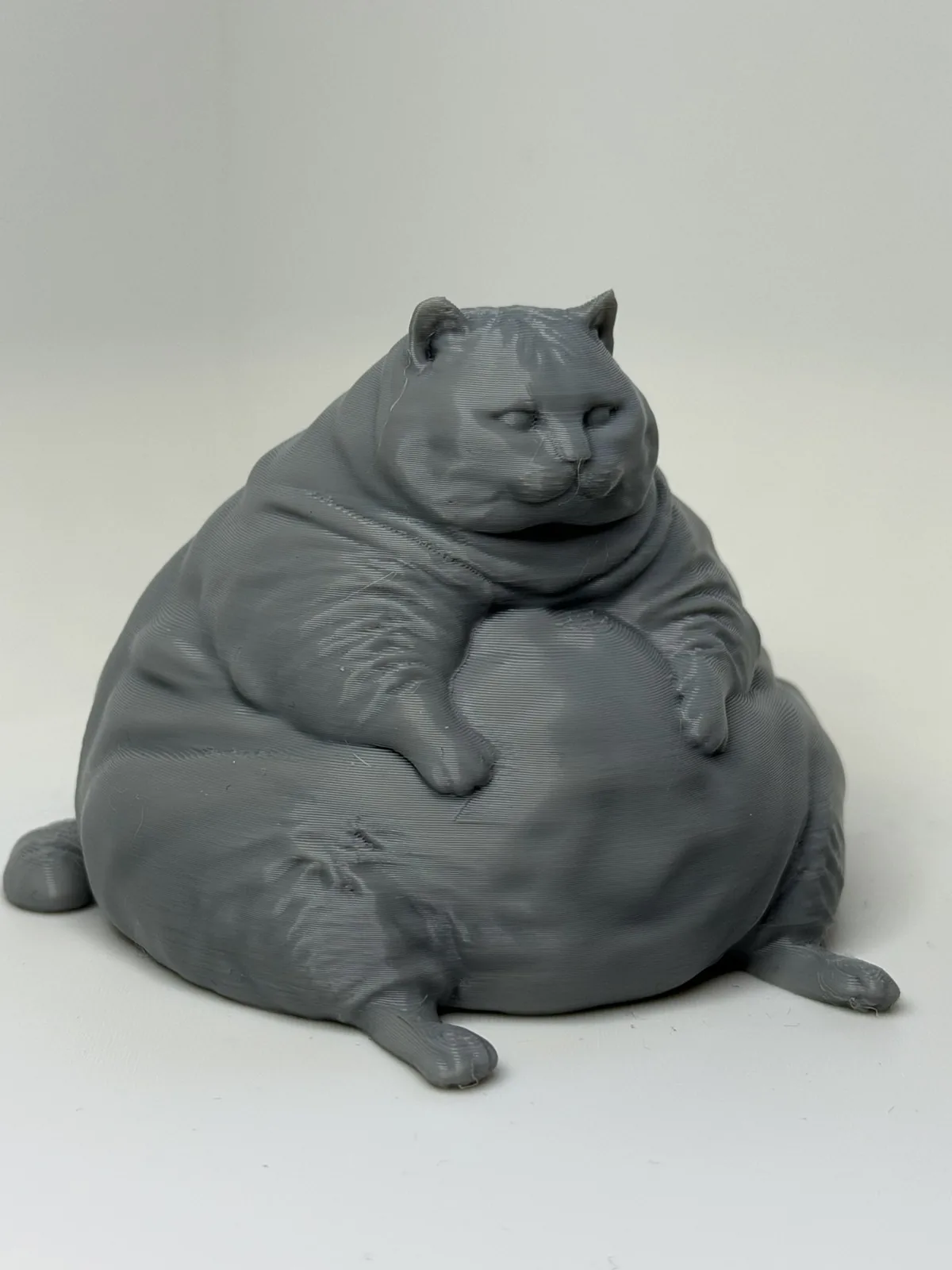 Gato gordo inútil pero necesario impreso en 3D, foto 4