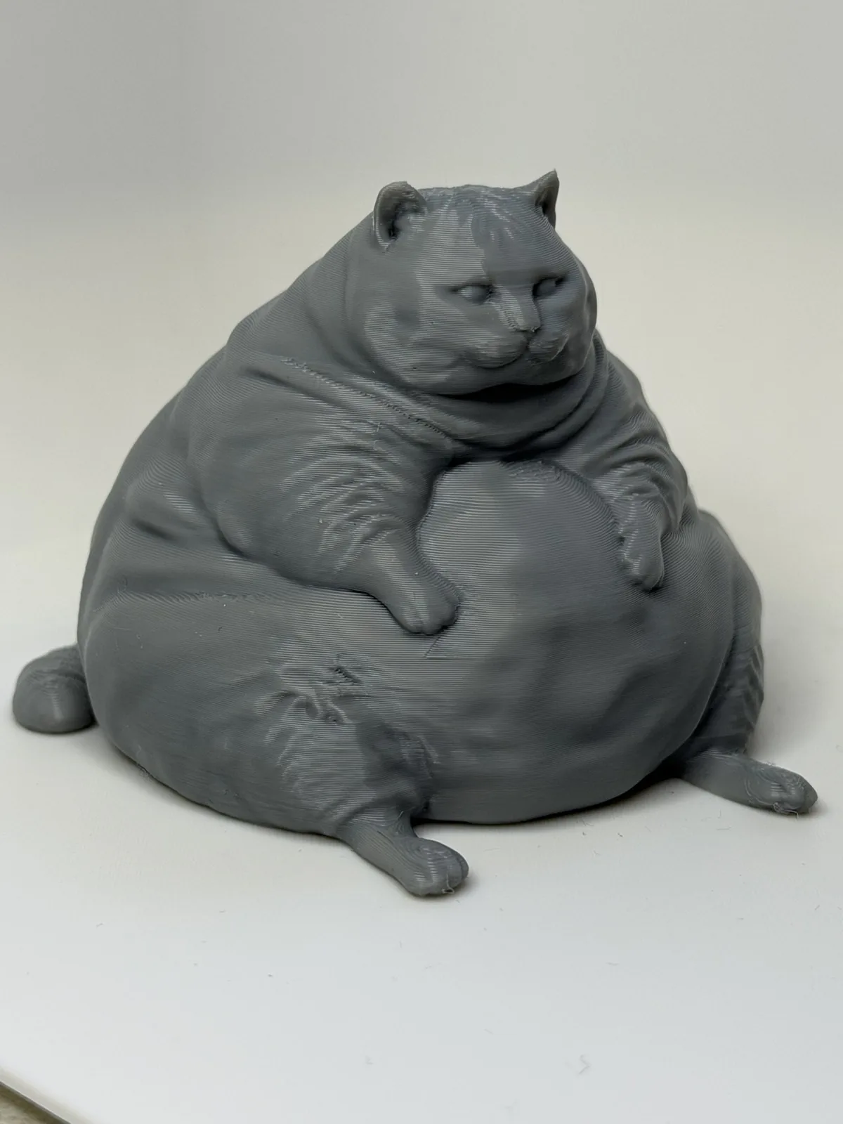 Gato gordo inútil pero necesario impreso en 3D, foto 5