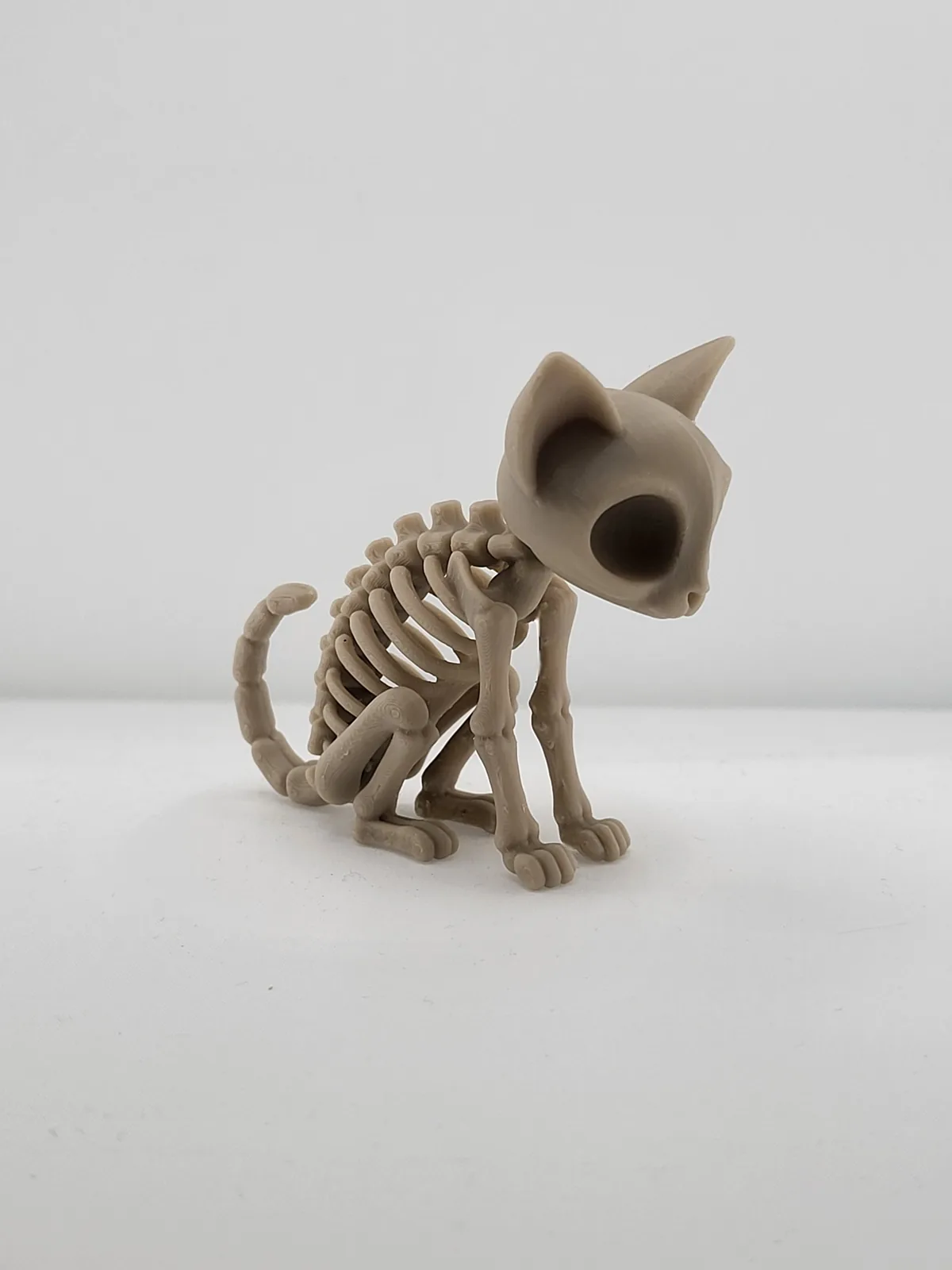 Gatito esqueleto