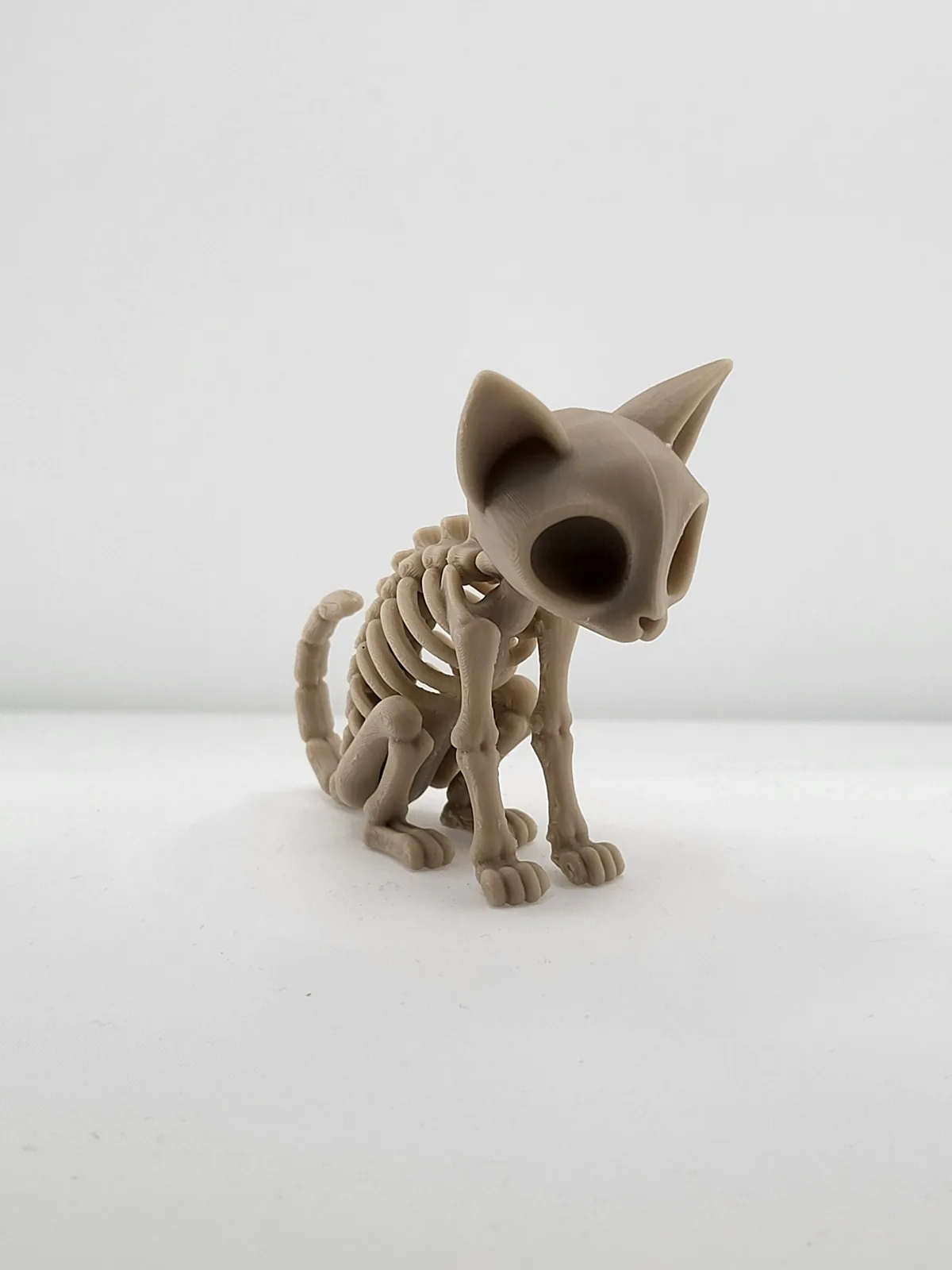 Gatito esqueleto impreso en 3D, foto 3