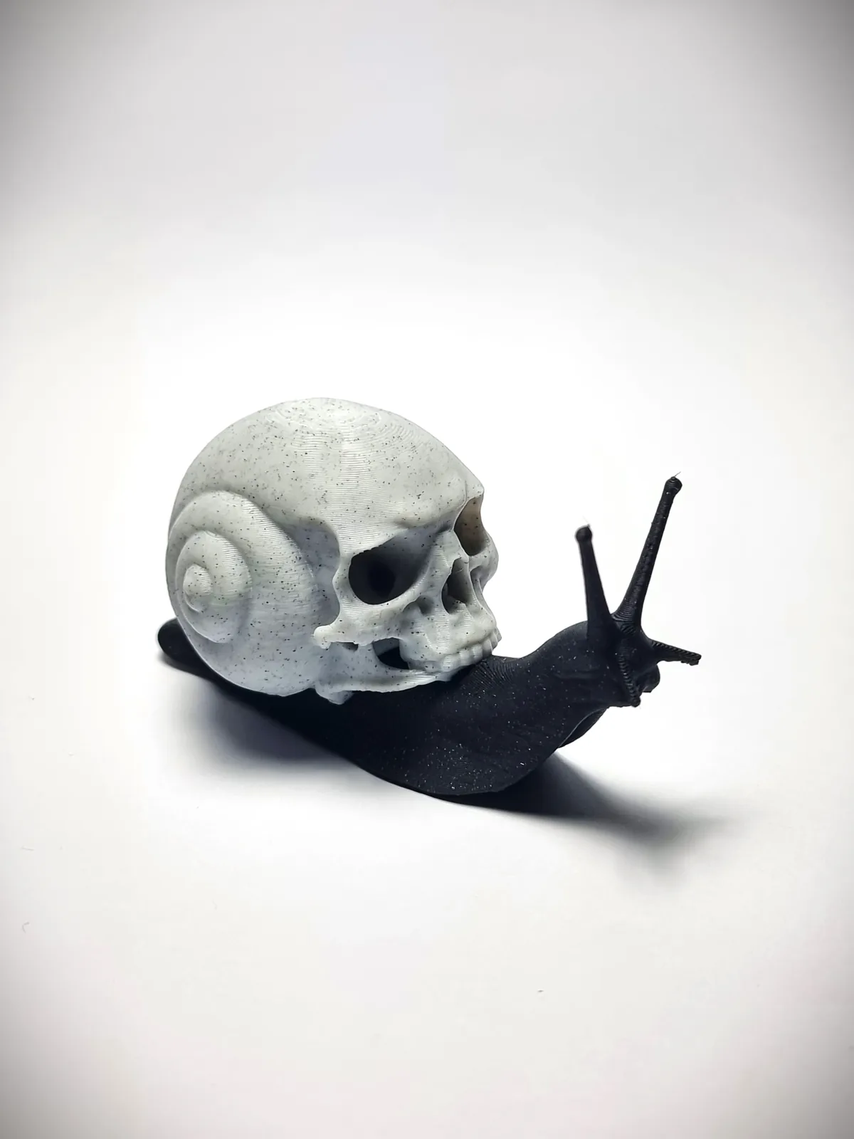 Caracol calavera impreso en 3D, foto 4