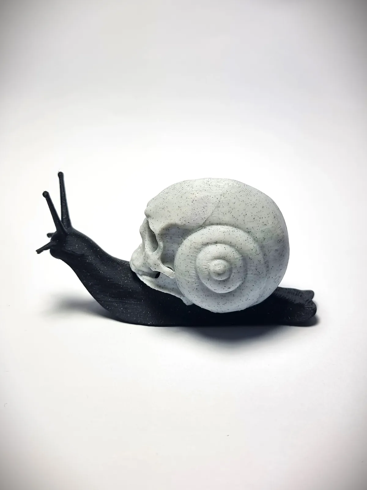 Caracol calavera impreso en 3D, foto 5