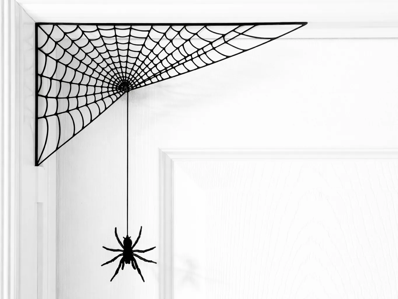Telaraña con araña