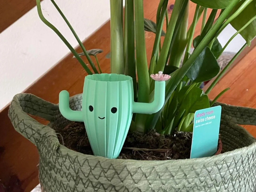 Cactus feliz de autorriego