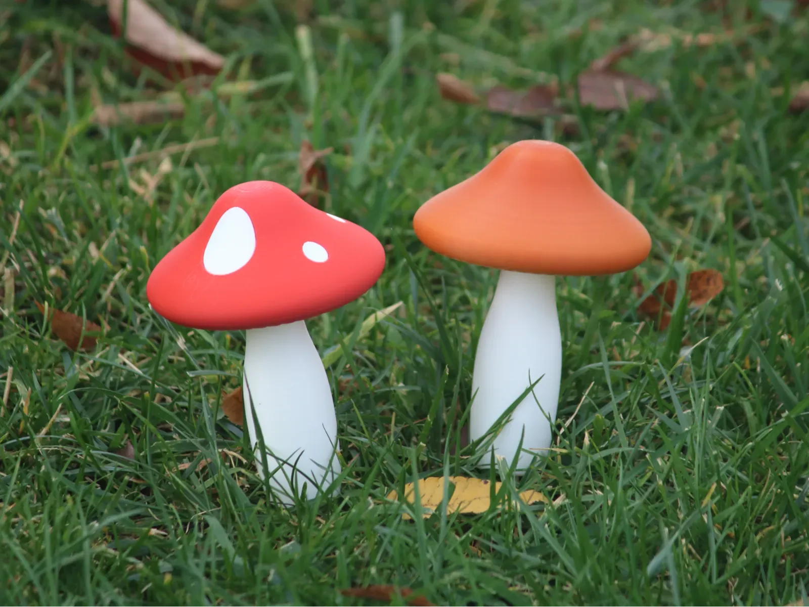 Hongos de jardín