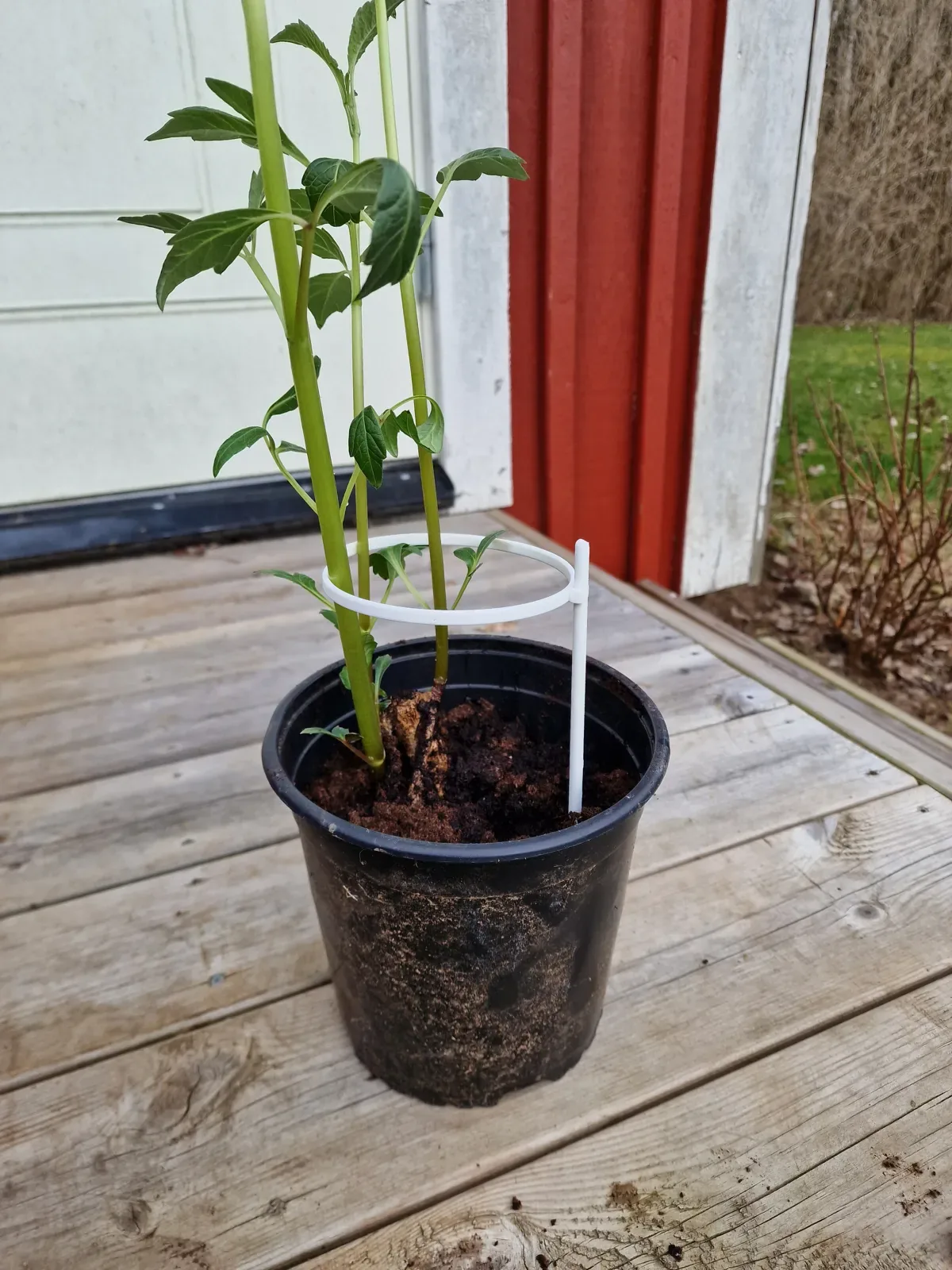 Tutor con aro para plantas impreso en 3D