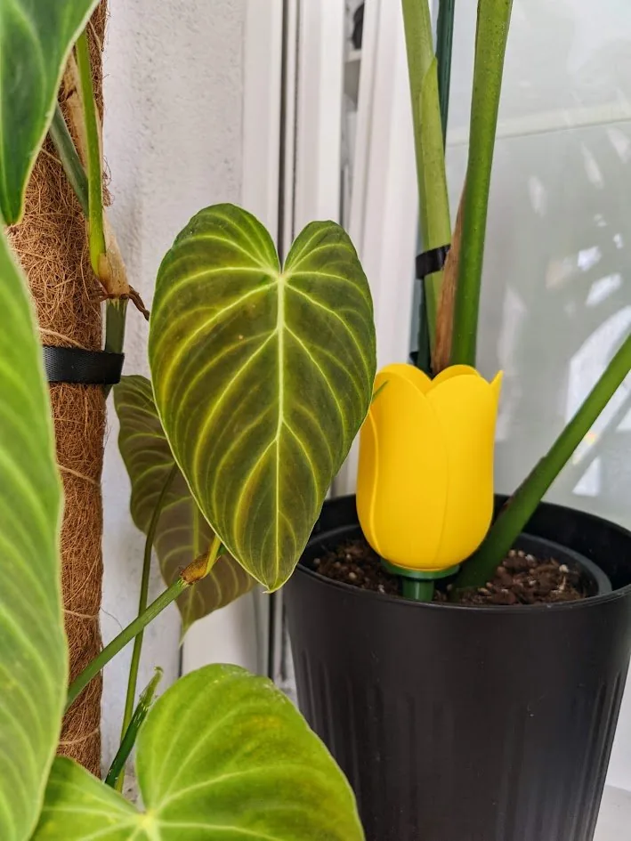 Tulipán de autorriego impreso en 3D, foto 3