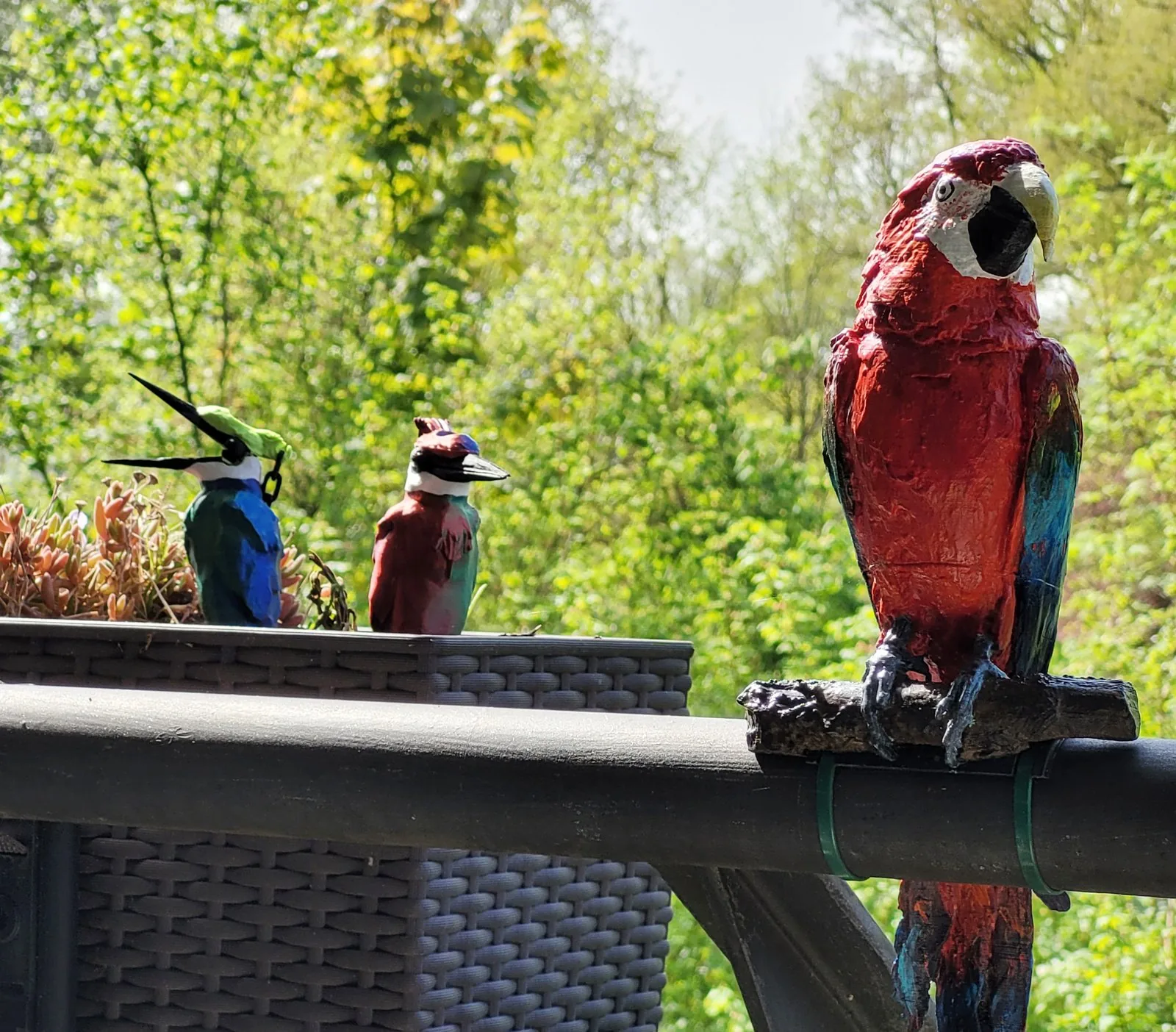 Pájaro de autorriego para plantas