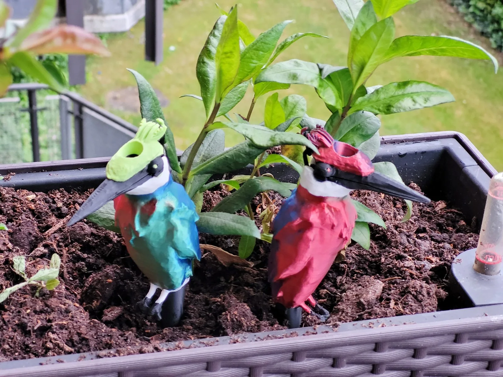 Pájaro de autorriego para plantas impreso en 3D, foto 3