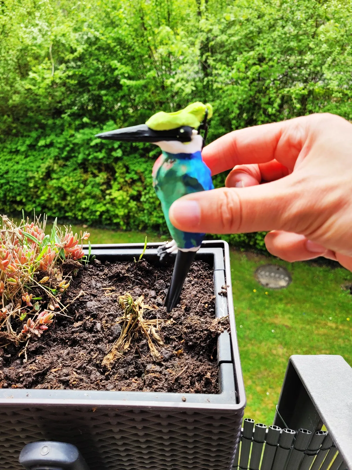 Pájaro de autorriego para plantas impreso en 3D, foto 4