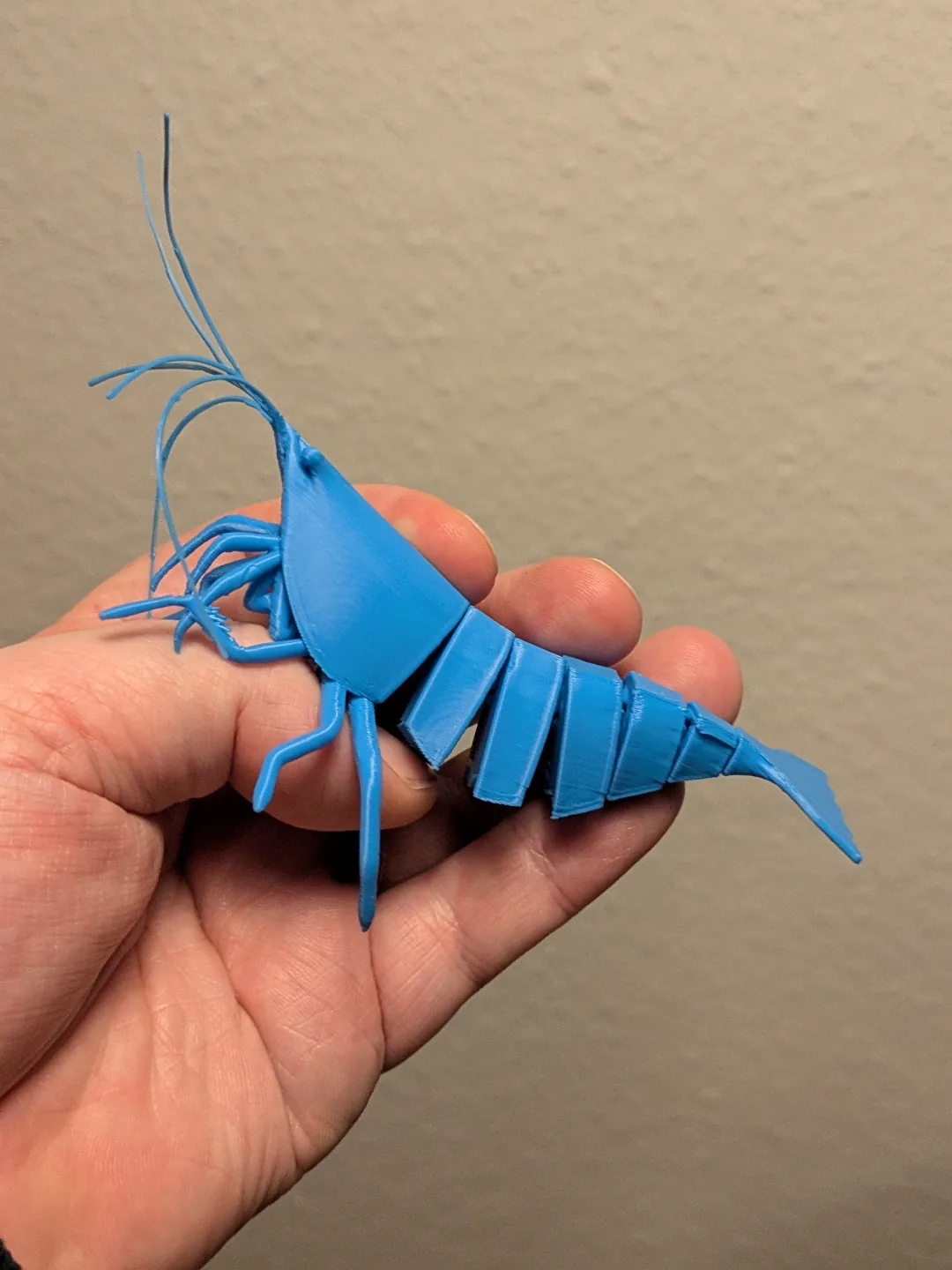 Camarão articulado impresso em 3D, foto 5
