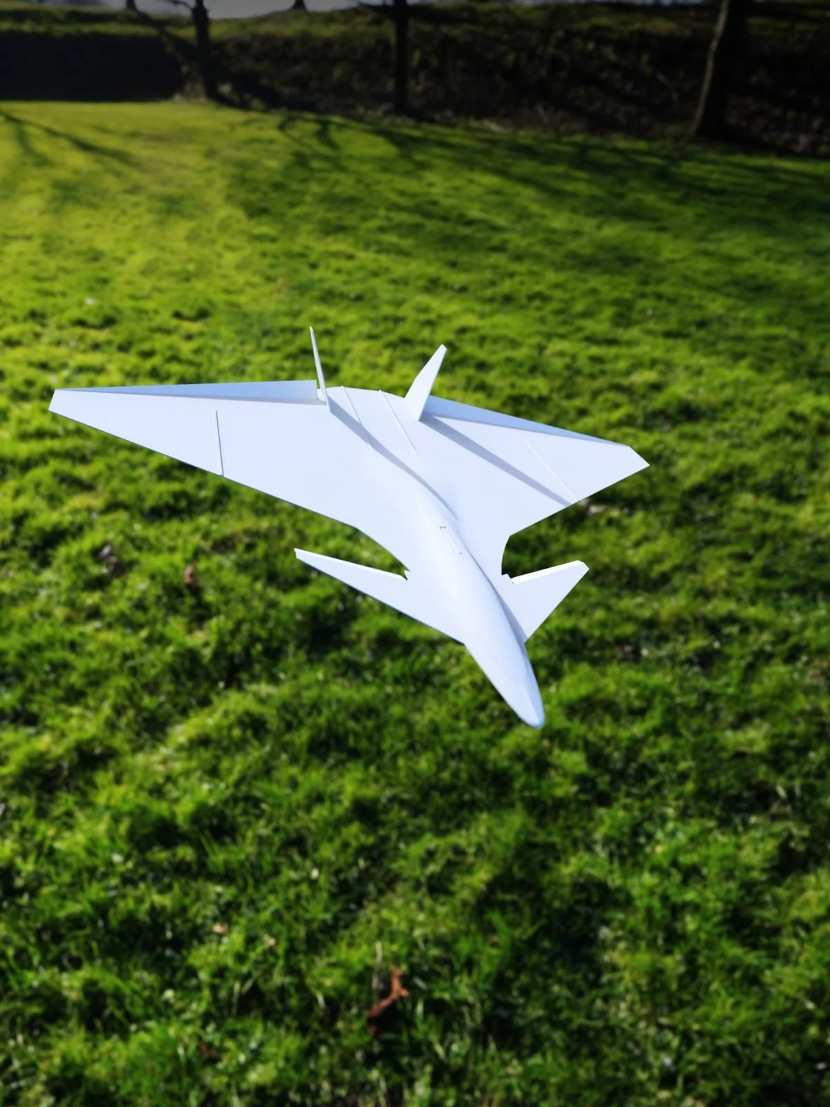 Planeador NyxFalcon impreso en 3D, foto 4