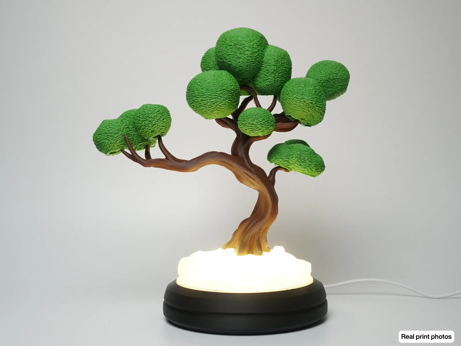 3D printed Bonsai Lamp, photo 4