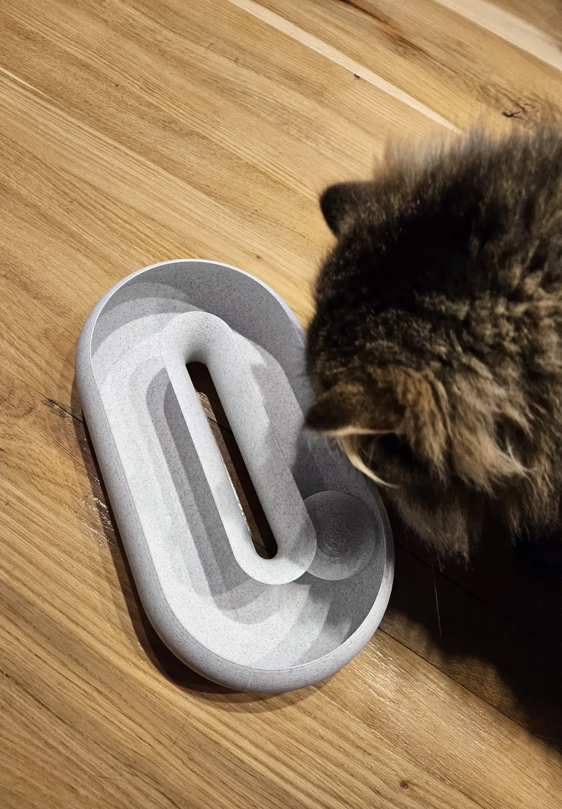 Pista oval com bolinha para gatos impresso em 3D, foto 3