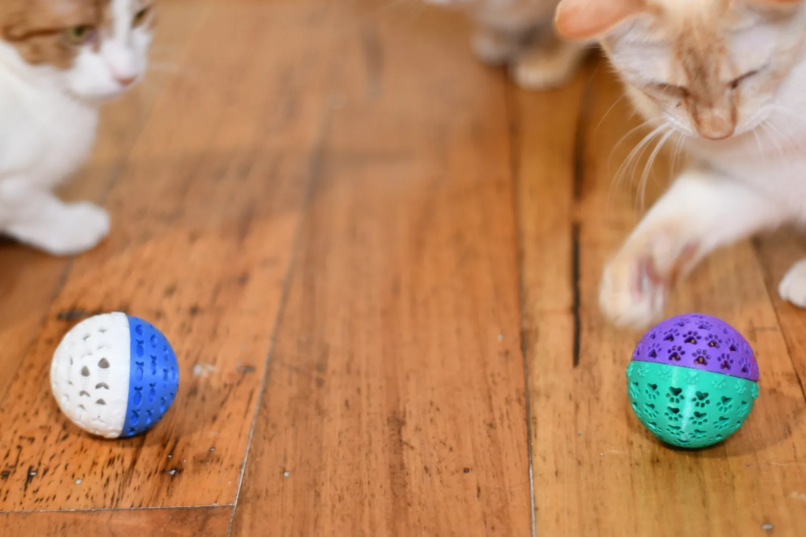 Pelotas rellenables para gatos impreso en 3D, foto 4
