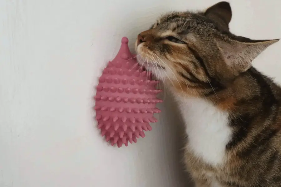 Erizo rascador para gatos impreso en 3D, foto 2