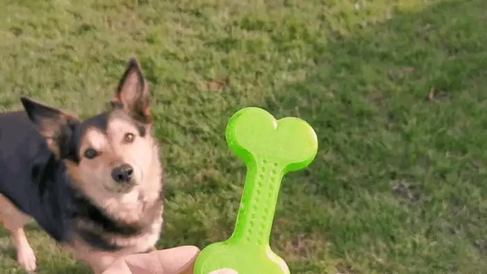 Osso flexível de TPU para cachorro impresso em 3D, foto 6