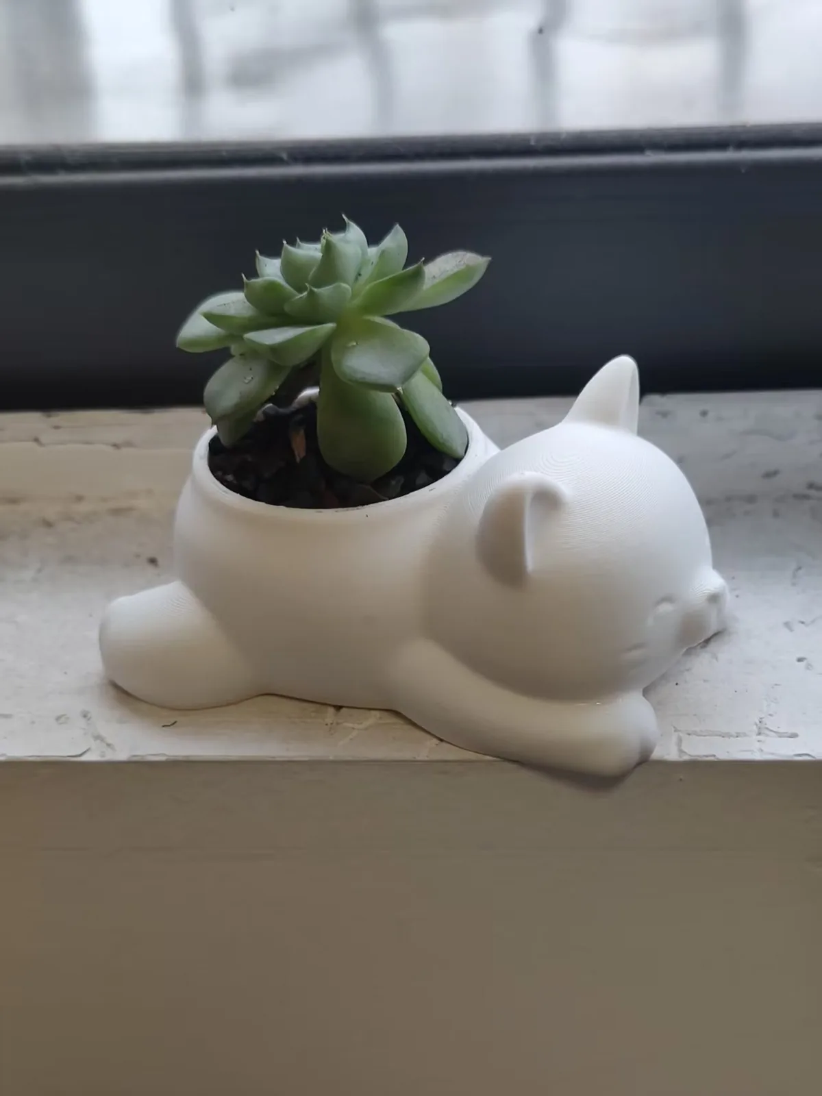 Matera gatito dormilón impreso en 3D, foto 4