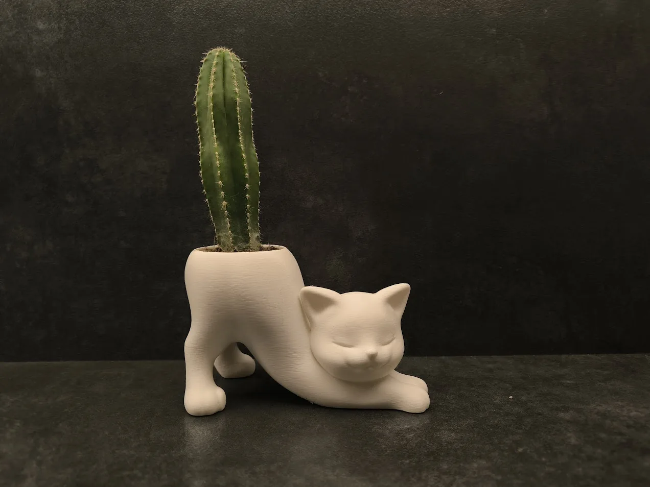 Matera gato estirándose impreso en 3D, foto 2