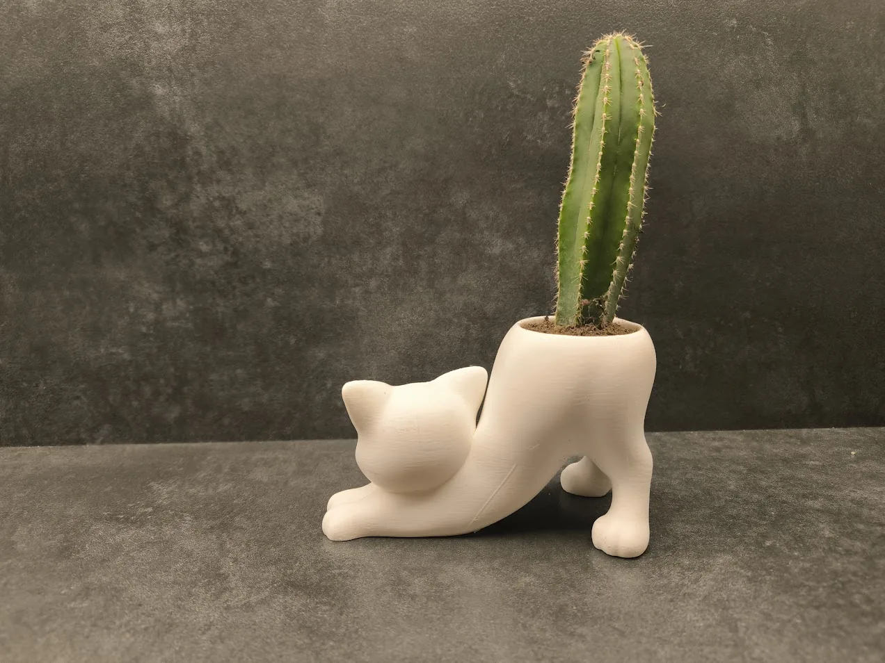 Matera gato estirándose impreso en 3D, foto 4