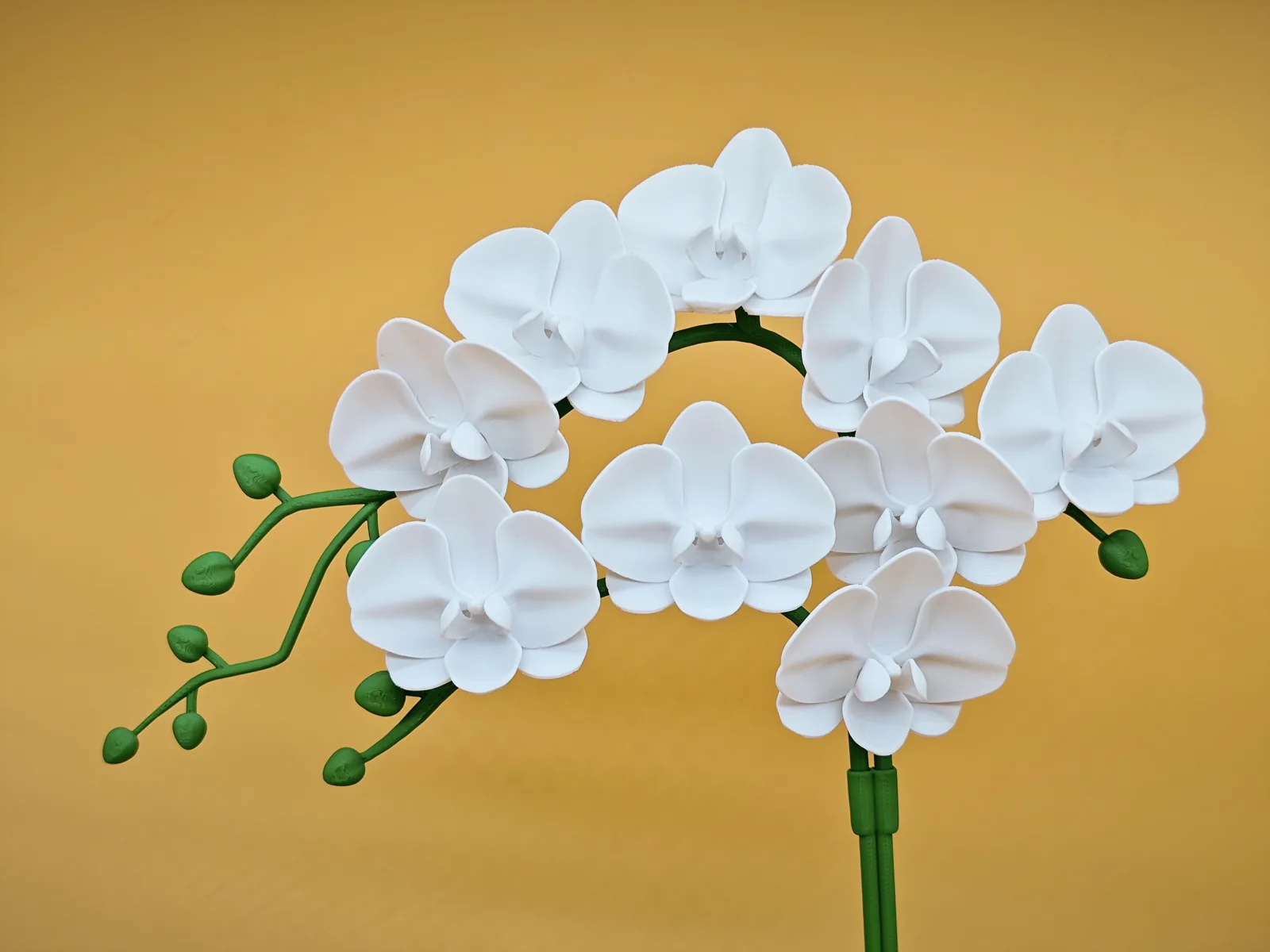 Orquídea en matera impreso en 3D, foto 4